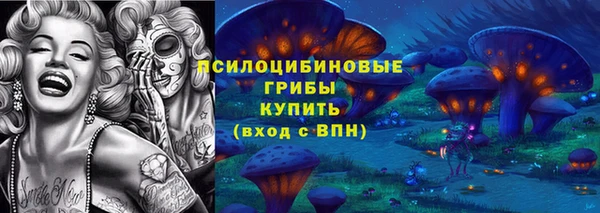 мдпв Верея