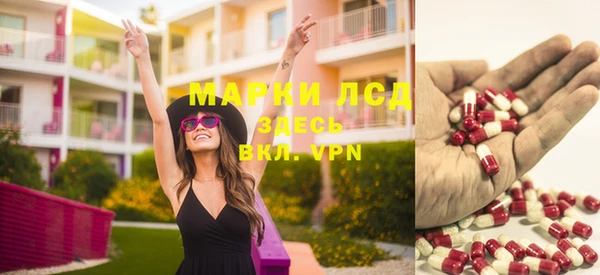 мдпв Верея