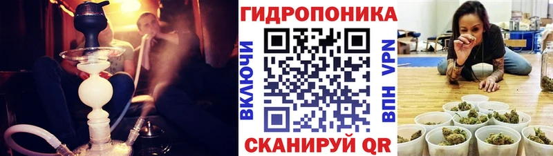 Купить закладки  Кирсанов  Конопля ГИДРОПОН 